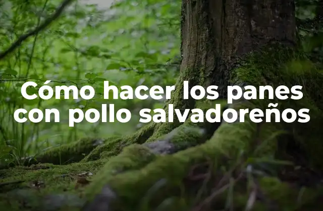 Cómo Hacer los Panes con Pollo Salvadoreños 2 Cómo hacer los panes con pollo salvadoreños