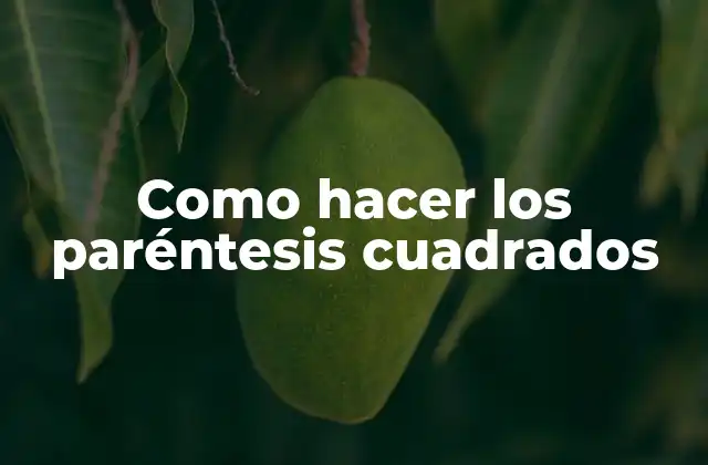 Como Hacer los Paréntesis Cuadrados