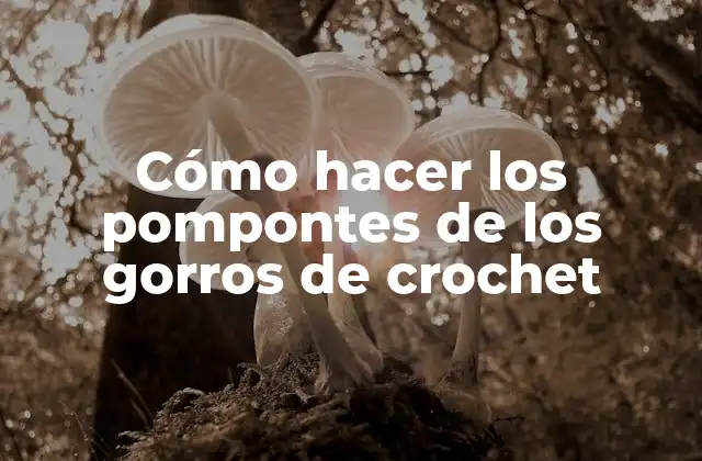 Cómo Hacer los Pompontes de los Gorros de Crochet