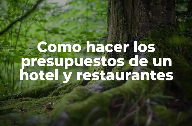 Como Hacer los Presupuestos de un Hotel y Restaurantes