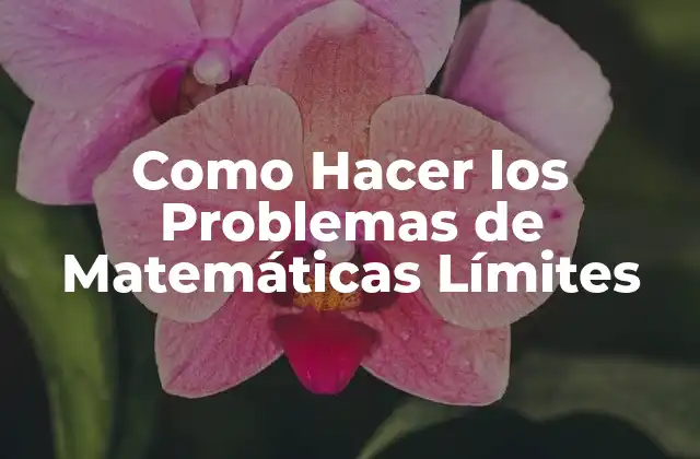 Como Hacer los Problemas de Matemáticas Límites