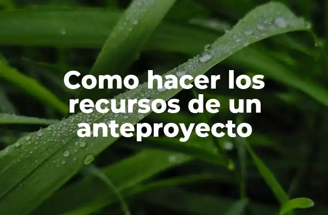 Como Hacer los Recursos de un Anteproyecto