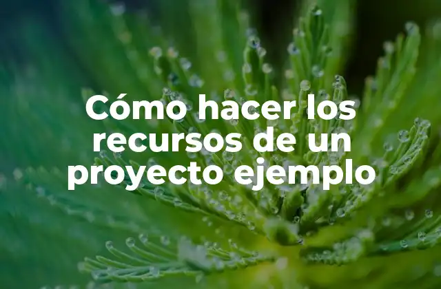 Cómo Hacer los Recursos de un Proyecto Ejemplo