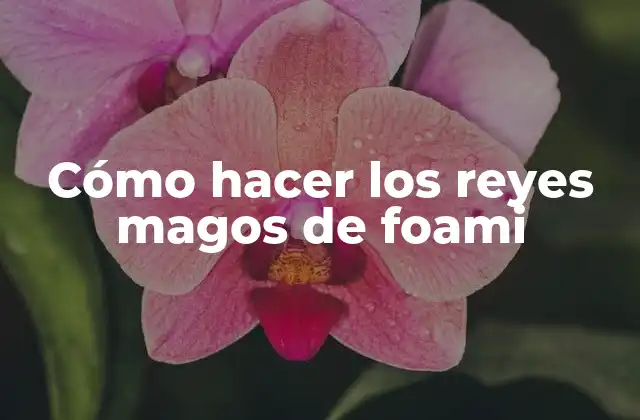 ¿Qué son los reyes magos de foami?