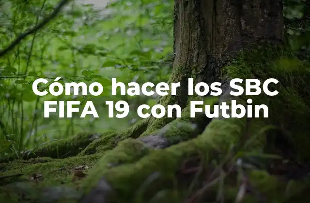 Cómo Hacer los Sbc Fifa 19 con Futbin