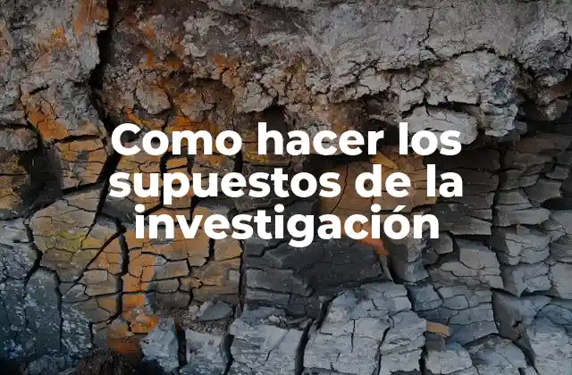 Como Hacer los Supuestos de la Investigación