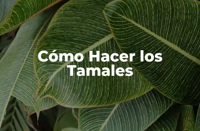 Cómo Hacer los Tamales