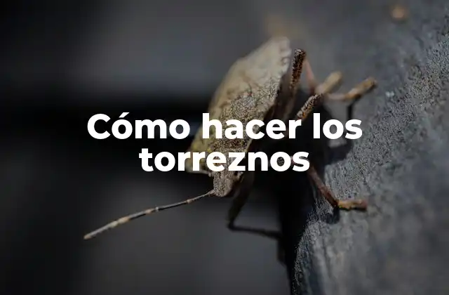 ¿Qué son los torreznos?