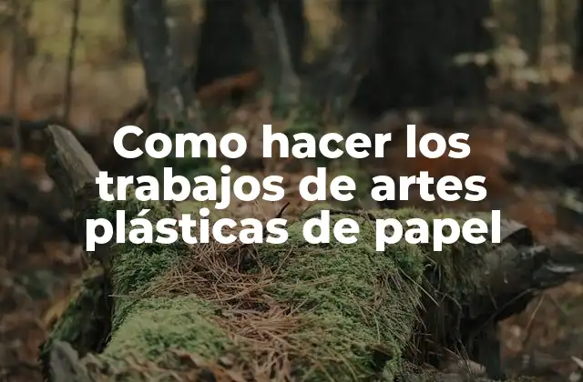 Como Hacer los Trabajos de Artes Plásticas de Papel