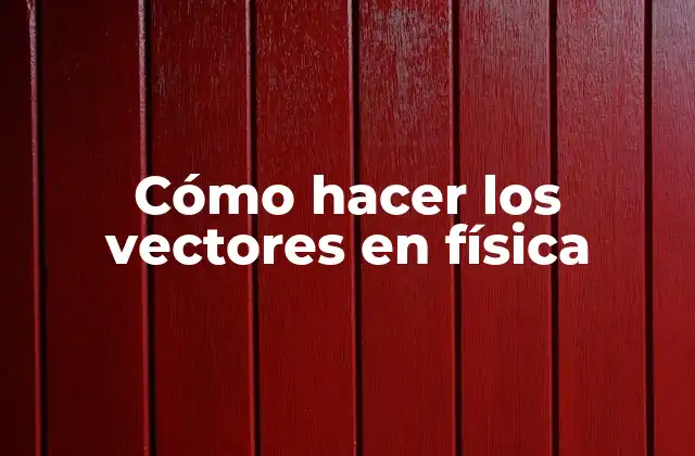 Cómo Hacer los Vectores en Física