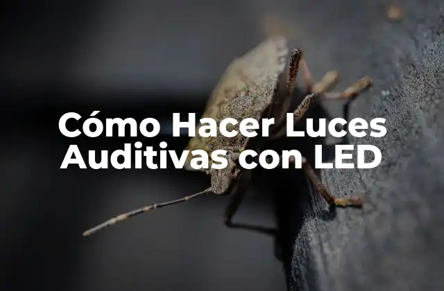 Cómo Hacer Luces Auditivas con Led