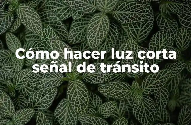 ¿Qué es una señal de tránsito con luz corta?