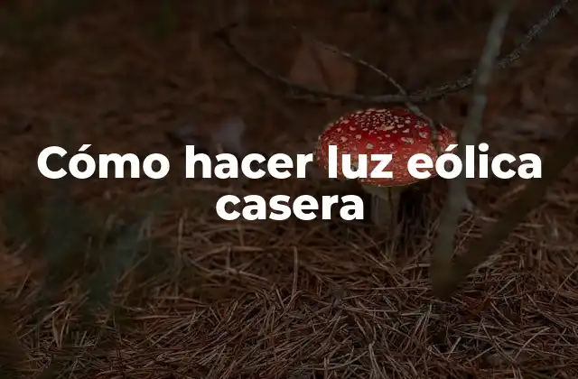 Cómo Hacer Luz Eólica Casera