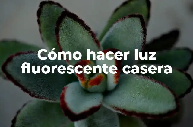 Cómo Hacer Luz Fluorescente Casera 2 ¿Qué es una luz fluorescente casera?