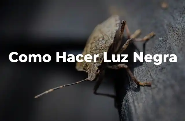 ¿Qué es la Luz Negra y para Qué Sirve?