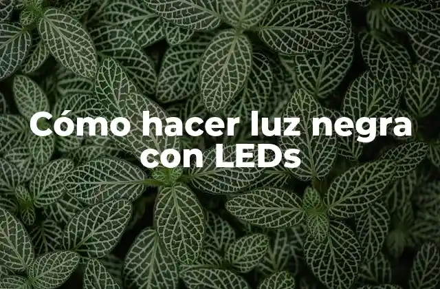 Cómo Hacer Luz Negra con Leds