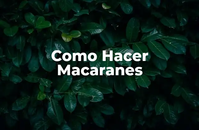 ¿Qué Son los Macaranes?