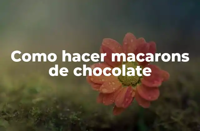 Como Hacer Macarons de Chocolate