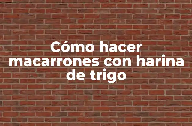 Cómo Hacer Macarrones con Harina de Trigo 2 Cómo hacer macarrones con harina de trigo