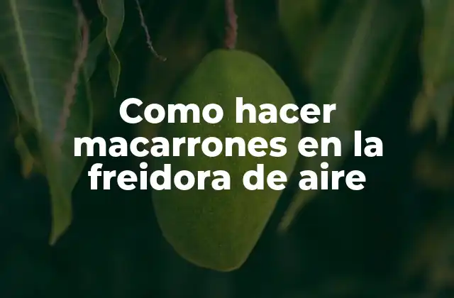 Como Hacer Macarrones en la Freidora de Aire