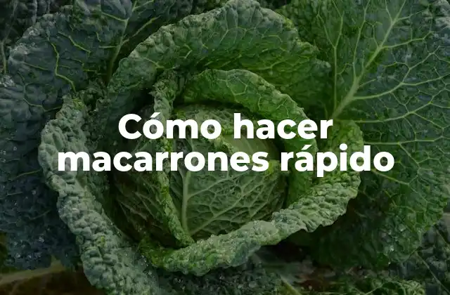 Cómo Hacer Macarrones Rápido