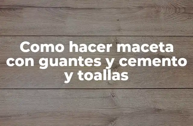 Como Hacer Maceta con Guantes y Cemento y Toallas