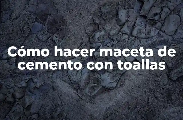 Cómo Hacer Maceta de Cemento con Toallas