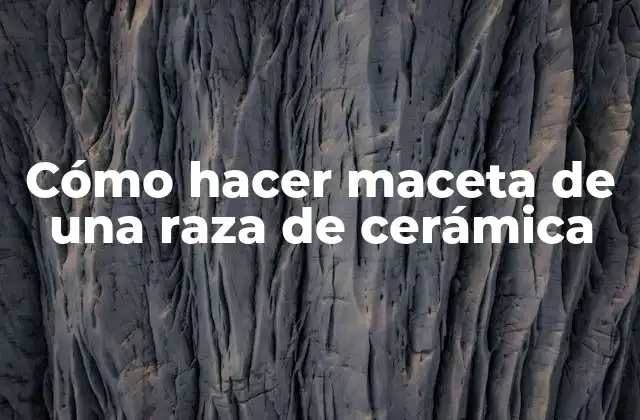 Cómo Hacer Maceta de una Raza de Cerámica