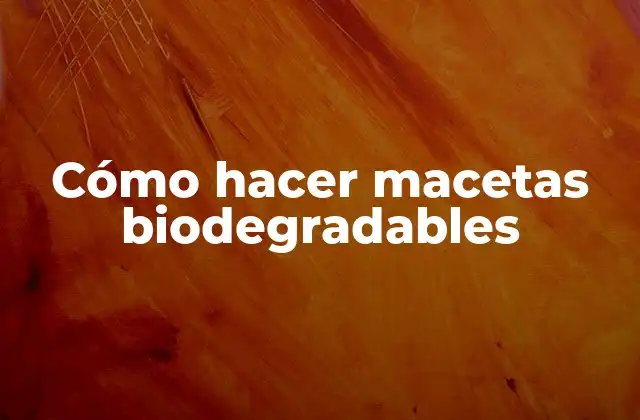 Cómo Hacer Macetas Biodegradables
