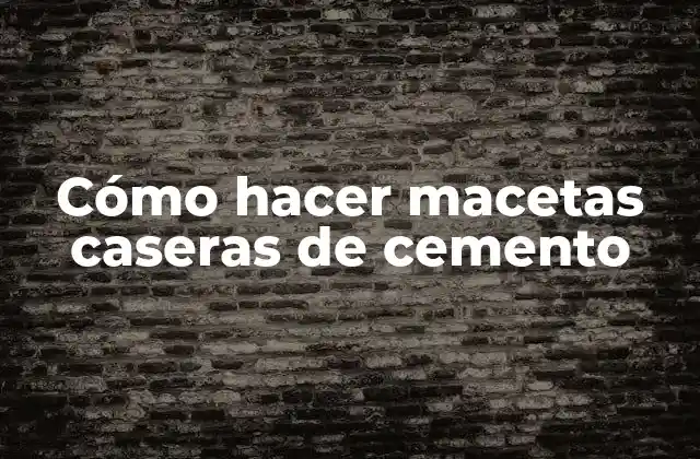 Cómo Hacer Macetas Caseras de Cemento