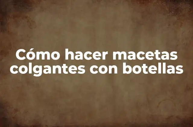 Cómo Hacer Macetas Colgantes con Botellas