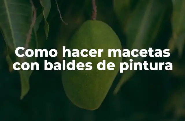 Como Hacer Macetas con Baldes de Pintura