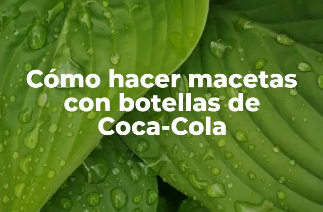 Cómo Hacer Macetas con Botellas de Coca-cola 2 Cómo hacer macetas con botellas de Coca-Cola