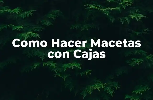 Como Hacer Macetas con Cajas