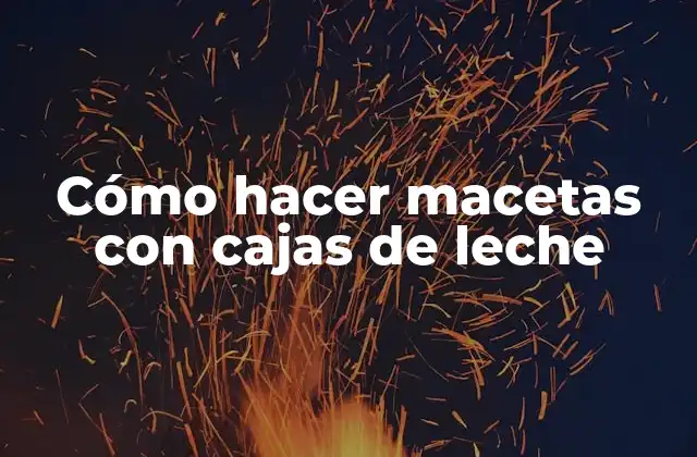 Cómo Hacer Macetas con Cajas de Leche