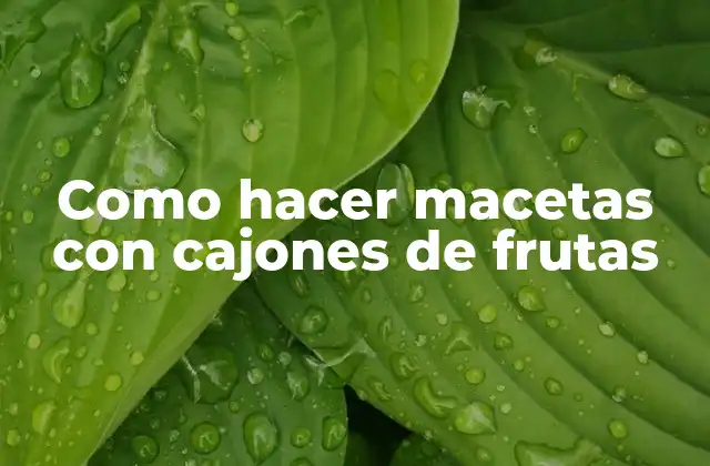 Como Hacer Macetas con Cajones de Frutas