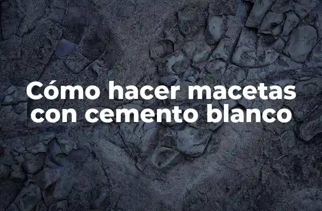 Cómo Hacer Macetas con Cemento Blanco
