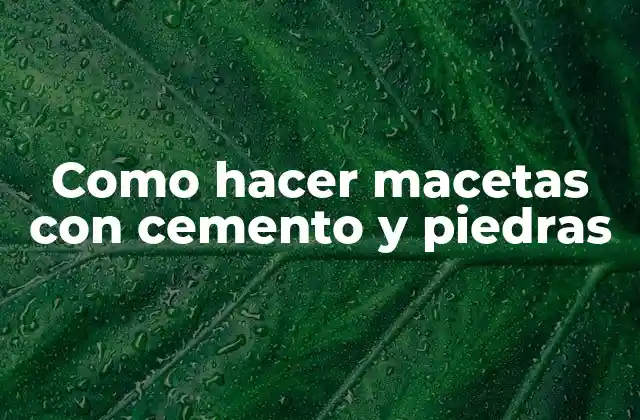 Como Hacer Macetas con Cemento y Piedras