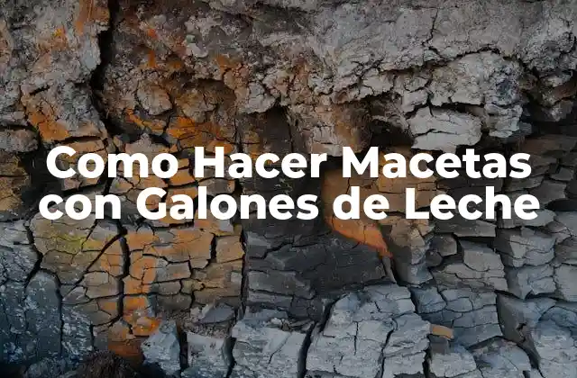 ¿Qué son las Macetas con Galones de Leche?