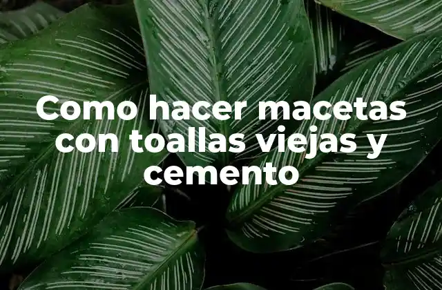 Macetas con toallas viejas y cemento