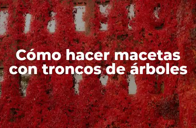 Cómo Hacer Macetas con Troncos de Árboles