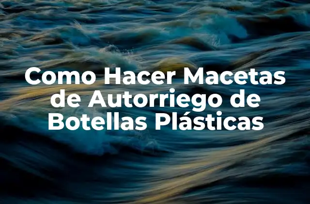 Como Hacer Macetas de Autorriego de Botellas Plásticas