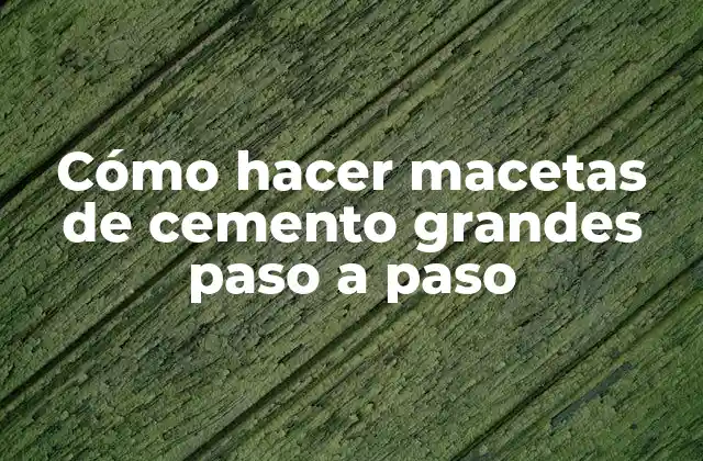 Cómo Hacer Macetas de Cemento Grandes Paso a Paso