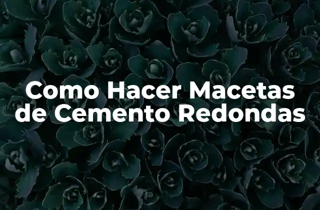 Como Hacer Macetas de Cemento Redondas 2 Macetas de Cemento Redondas: ¿Qué Son y Para Qué Sirven?