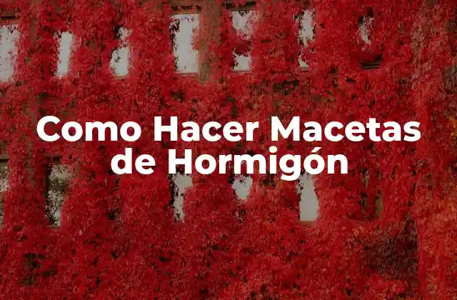 Como Hacer Macetas de Hormigón