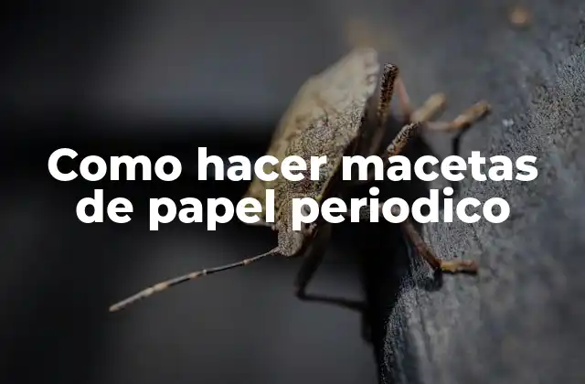 Como Hacer Macetas de Papel Periodico