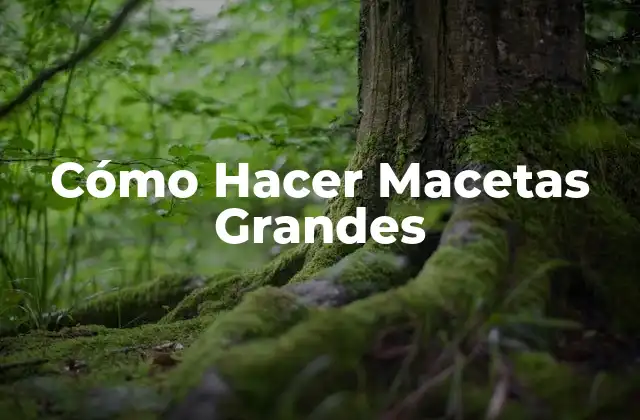 Cómo Hacer Macetas Grandes