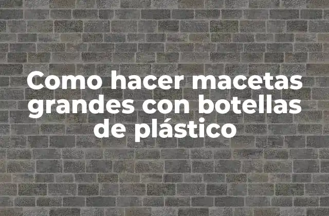 Macetas grandes con botellas de plástico