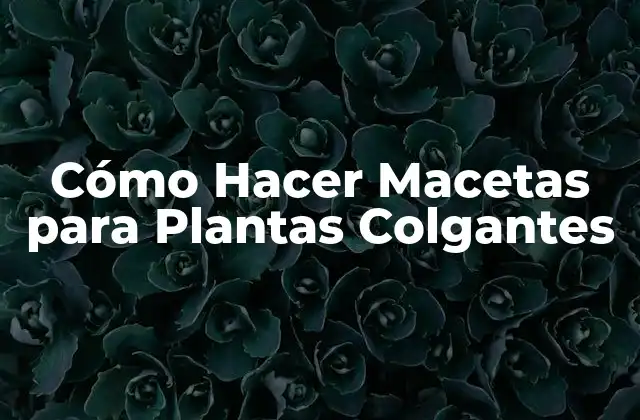 Cómo Hacer Macetas para Plantas Colgantes
