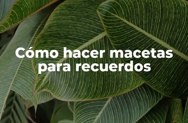 Cómo hacer macetas para recuerdos